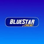 BlueStar Cricket APK