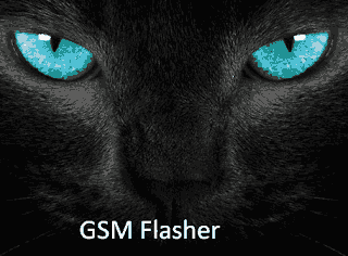 GSM Flasher APK